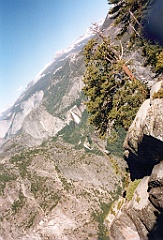 1997 - USA 202 (Yosemite National Park, CA - Glacier Point)